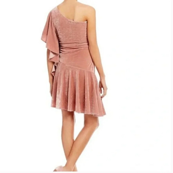 Gianni Bini Velvet Glitzy Daze One Shoulder Ruffle Dress Blush Pink Small - Picture 2 of 9